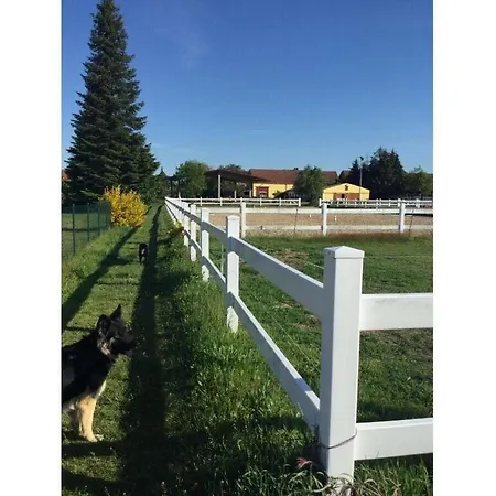 Hexenhauschen Four-side-ranch * Krumke